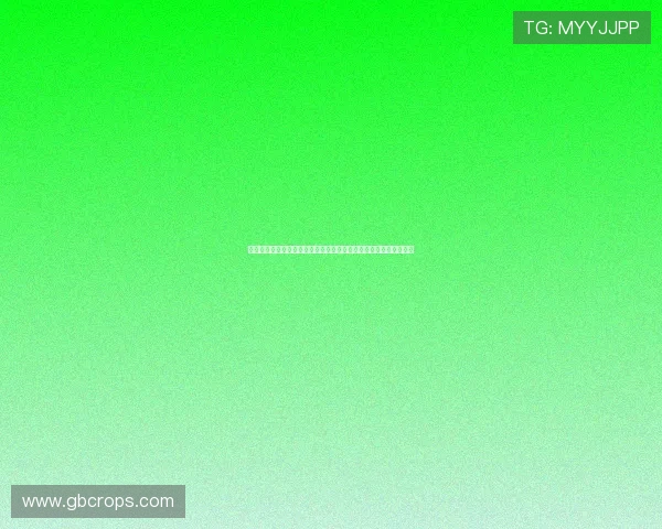 尊龙国际：引领豪华娱乐新体验，打造尊贵尊荣的尊龙国际生活方式