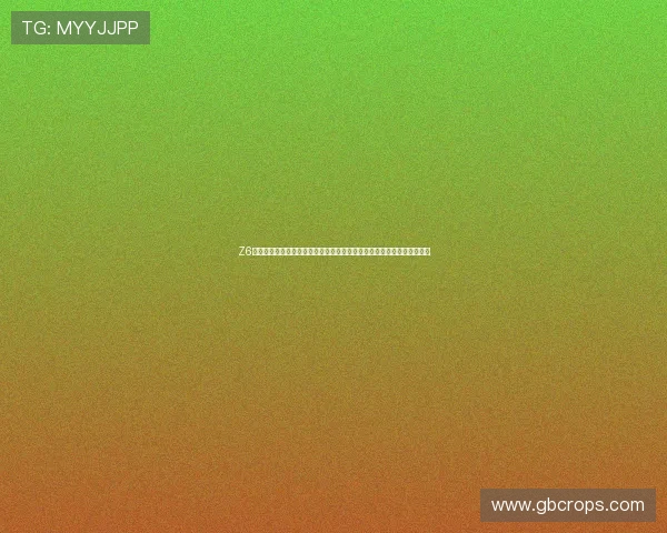 Z6尊龙现金开户最新优惠活动,注册即享丰富彩金与专属福利助力游戏畅玩 Z6尊龙现金开户最新优惠活动,注册即享丰富彩金与专属福利助力游戏畅玩