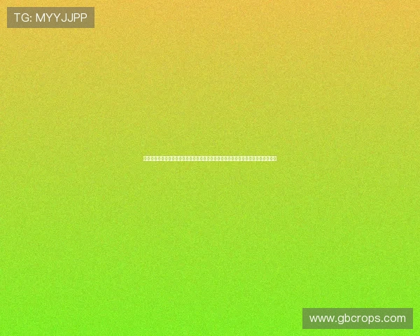 尊龙凯时在线官网安全可靠,保障玩家资金与个人信息安全,打造放心的线上娱乐环境