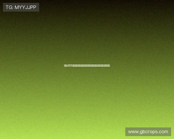 尊龙d88会员登录入口最新更新确保用户顺畅登录享受丰富游戏资源 尊龙d88会员登录入口最新更新确保用户顺畅登录享受丰富游戏资源