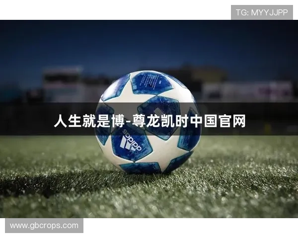 尊龙新版人生就是博详细解析游戏中的丰富职业选择与人生规划策略