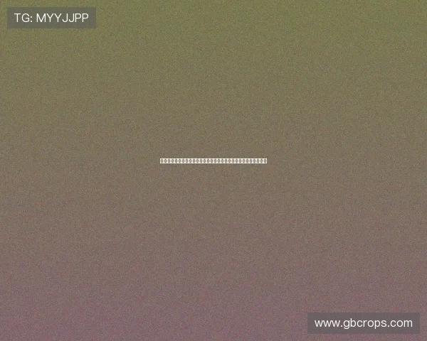 世界杯瑞典突尼斯队球衣图片最新款式及其在比赛中的穿着效果评测