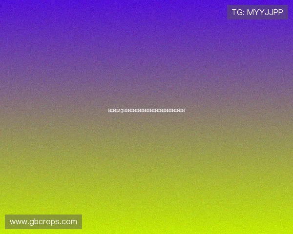 凯发直营ag报道世界杯现场氛围,展现各国球迷热情支持与文化交流 凯发直营ag报道世界杯现场氛围,展现各国球迷热情支持与文化交流