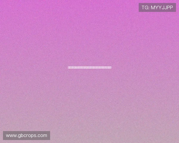 利用皇冠真人视讯平台观看世界杯赛事实现沉浸式体育娱乐新享受