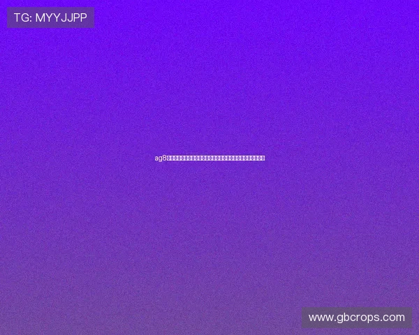 ag8娱乐用户体验优化策略提升游戏流畅度与操作便捷性的实用技巧