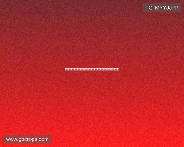 尊龙人生就是博爱：探索游戏与社会公益结合的新模式，促进全民博爱意识提升